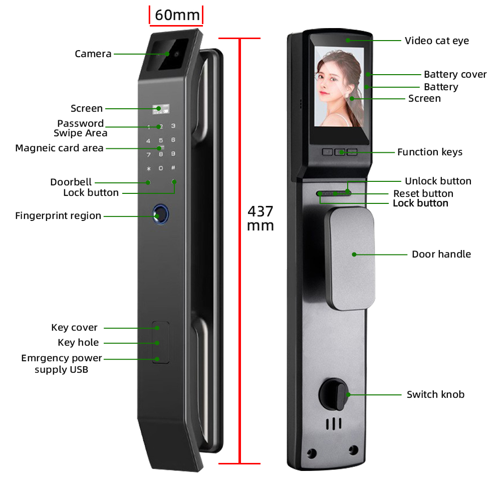 RAYKUBE DF14 Tuya WiFi ثلاثية  - مراجعة Graded Card Display وسعره