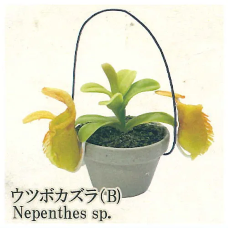 اليابان قوس قزح غاشابون لعبة ا - مراجعة Capsule Toy Gashapon وسعره