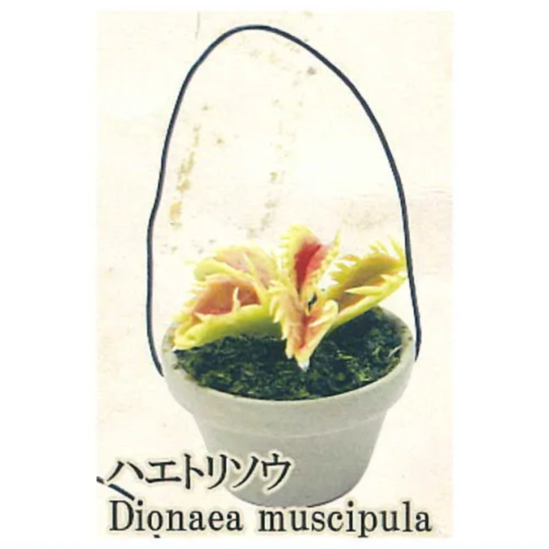 اليابان قوس قزح غاشابون لعبة ا - مراجعة Capsule Toy Gashapon وسعره